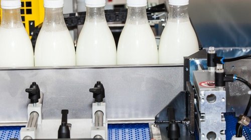 Whats_App_Image_2026_03_15_at_3_00_33_PM_66d7335e54