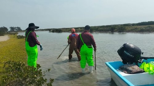 Whats_App_Image_2026_03_16_at_5_32_20_PM_0ff52ea86c