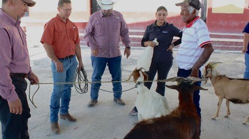 Whats_App_Image_2026_03_17_at_2_02_54_PM_57c74b8f4f