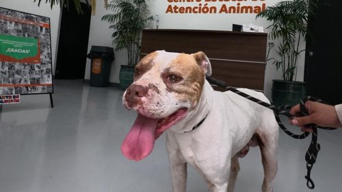 Whats_App_Image_2026_03_17_at_5_27_47_PM_67cae717fd