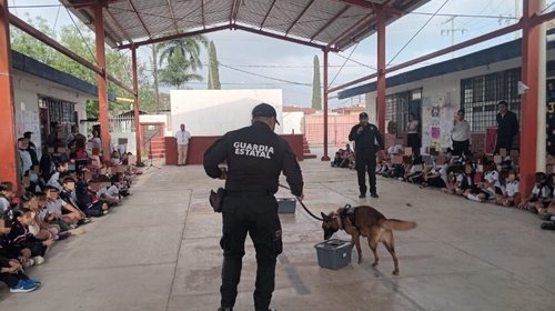 Whats_App_Image_2026_03_24_at_3_27_32_PM_1_281677caf4