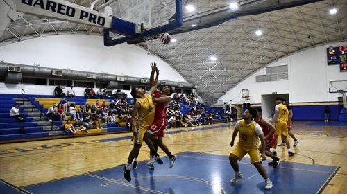 Whats_App_Image_2026_03_25_at_1_34_20_AM_d00ef0c98e