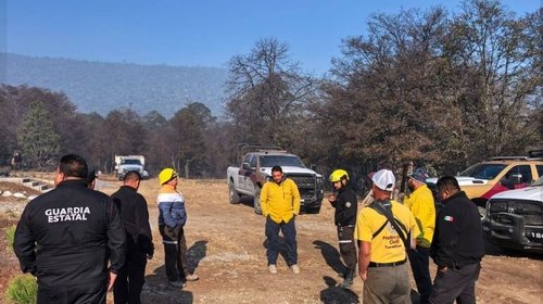 Whats_App_Image_2026_03_30_at_13_37_59_a5fddad4dc