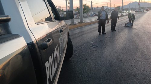 Whats_App_Image_2026_03_31_at_8_14_46_PM_f091621d12