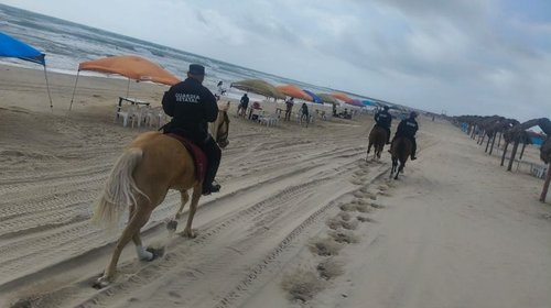 Whats_App_Image_2026_04_02_at_4_40_15_PM_91add45420