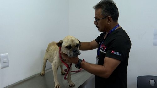 Whats_App_Image_2026_04_02_at_6_42_56_PM_f593960316