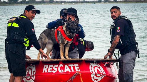 Whats_App_Image_2026_04_05_at_5_19_12_PM_1_2ac890a979