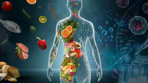 Whats_App_Image_2026_04_08_at_2_08_19_PM_fa1ad91e4b