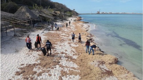 Whats_App_Image_2026_04_10_at_1_51_15_AM_dd29319872