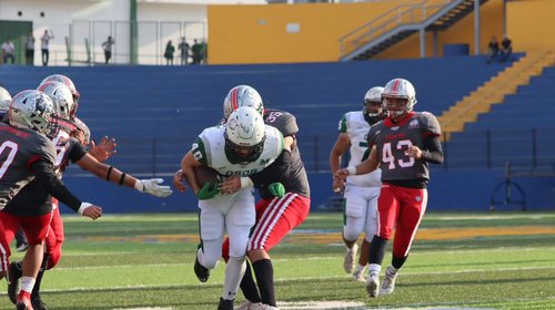 Whats_App_Image_2026_04_15_at_12_27_48_AM_1c60686306