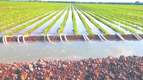 Whats_App_Image_2026_04_15_at_12_28_40_AM_17546b1615