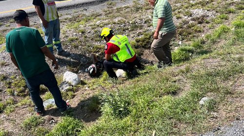 Whats_App_Image_2026_04_16_at_4_58_05_PM_4480c77412