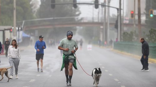 Whats_App_Image_2026_04_19_at_2_44_06_PM_1_c9389a13ea