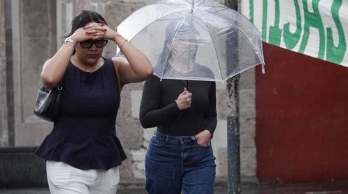 Whats_App_Image_2026_04_27_at_08_52_40_93b22ebbe5