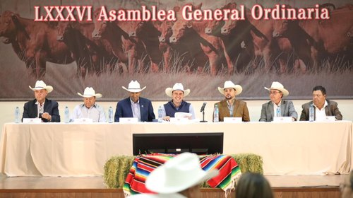 Whats_App_Image_2026_04_27_at_6_33_02_PM_7c0c30fcee