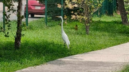 Whats_App_Image_2026_04_28_at_7_12_46_PM_1_0b5799757d