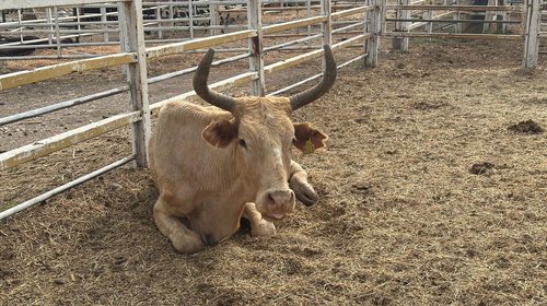 Whats_App_Image_2026_04_30_at_11_22_39_AM_9fcbfb8220