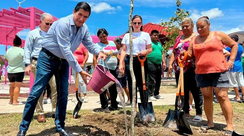 Plantan en Escobedo árboles nativos en programa de reforestación
