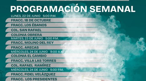 Matamoros mantiene jornadas permanentes de fumigación