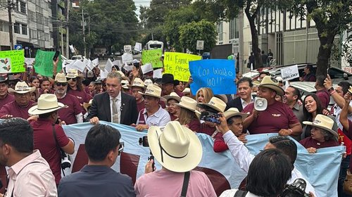 Ofrece Waldo 'gobierno serio' en proceso interno de la 4T