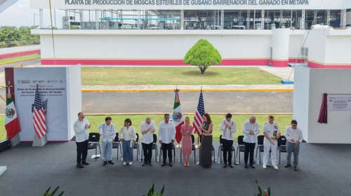 Inaugura Sheinbaum planta de combate contra el gusano barrenador