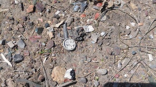 Buscadoras de Tamaulipas extienden rastreos a Nuevo León