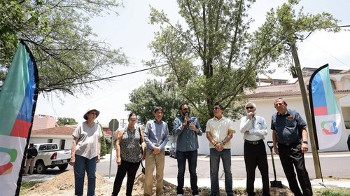 Planta San Pedro doce "Gigantes Verdes" en Chipinque 