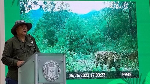 Cuidan senderos para conservación del jaguar en NL