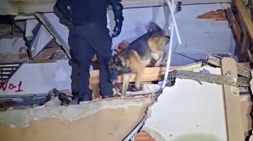 Binomio K9 de Santa Catarina rescata a víctima en Venezuela