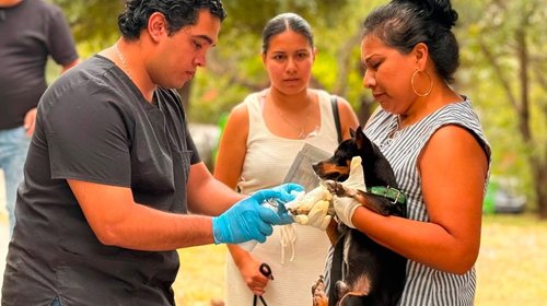 Acerca Guadalupe servicios veterinarios con Huellitas de Amor