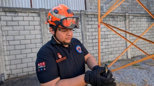 Rescatan a familia de patos en planta de CFE en Guadalupe