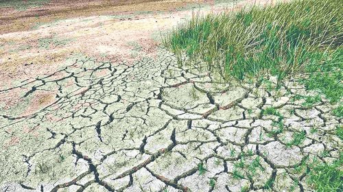 Duró poco el alivio en Tamaulipas: vuelve la sequía