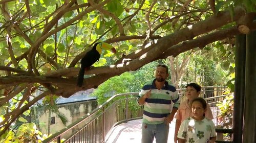 Visitantes recorren el Zoológico de Tamatán en vacaciones