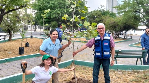 Planta Monterrey 20 árboles nativos en el Parque Obispado