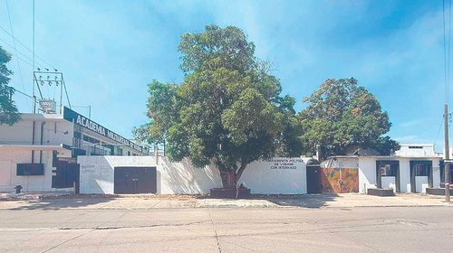Recibe ‘Estrellita N’ una segunda orden de arresto