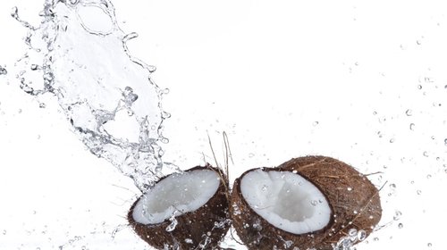 Conoce más sobre el coco, un ingrediente con sabor y versatilidad