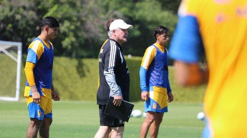 Tigres vive el año con más derrotas en la última década