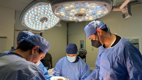 Procura IMSS NL 267 órganos y tejidos en lo que va del año