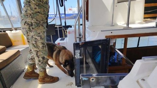 Marina rescata a 45 migrantes rumbo a EUA en Baja California