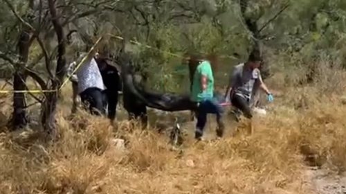 Identifican a hombre localizado sin vida en Los Longoria