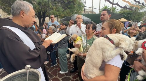 Llama bendición de mascotas a fortalecer la familia