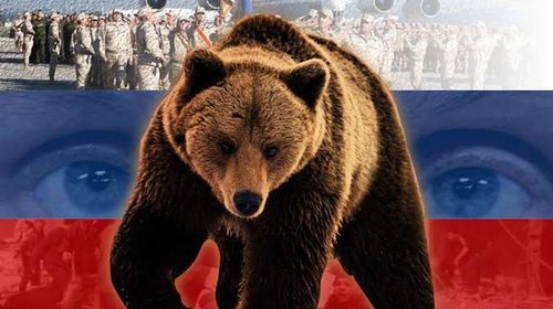 Aumenta el número de ataques de osos en Rusia
