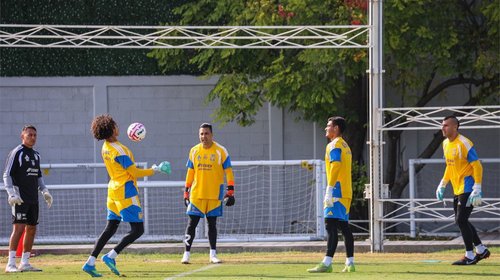 Tigres es una ‘fiera’ en casa: liga 14 juegos sin perder