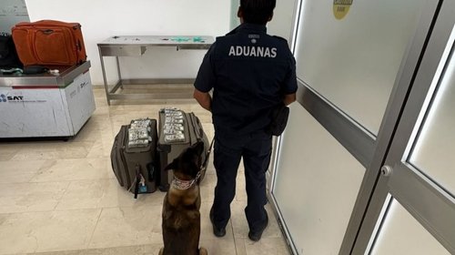 Detienen a pasajero de Dallas con más de $365,000 dólares ocultos
