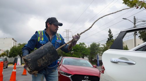 Monterrey impulsa adopción de árboles y reciclaje en parques