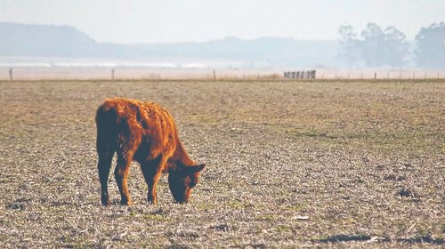 Presas se llenan, pero el campo sigue en crisis