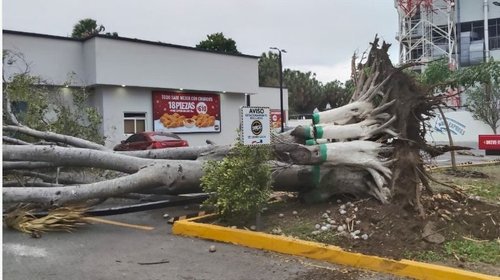 a2069dc2_853c_4b34_b01e_da42494dbcf9_copia_7ea59ab312