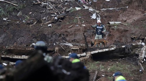 a74952fb67f20476ee4f5674d6b236f0ccd1ef51w_6cab46d4f8