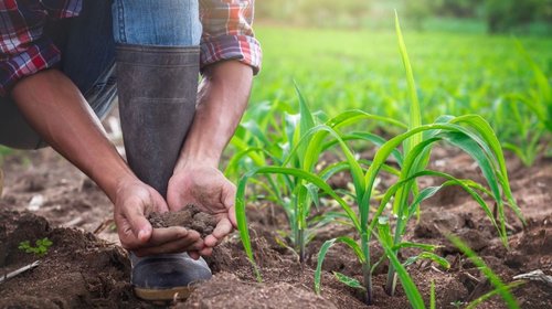 acuerdo_agricultores_gobierno_5103927c9f