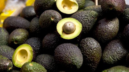 EUA reanuda inspecciones de aguacate en cuatro zonas de Michoacán
